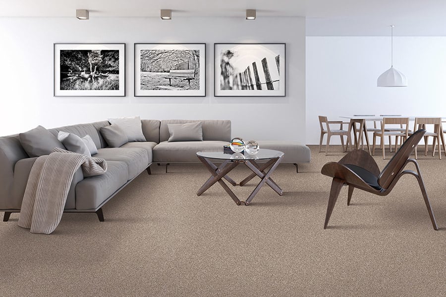 Contemporary carpet in Detroit, MI from Roman Floors & Remodeling