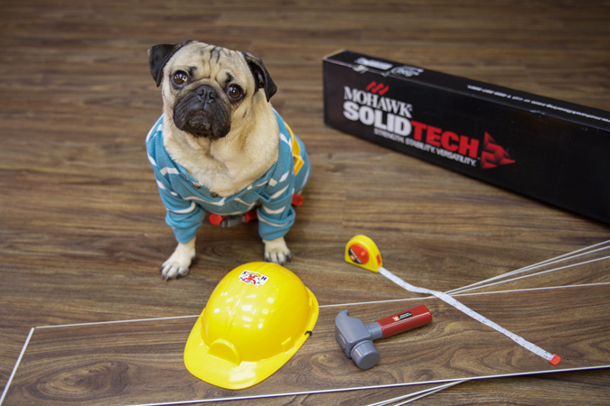 Waterproof Vinyl Flooring for Homes with Pets Waterproof Vinyl Flooring for Homes with Pets