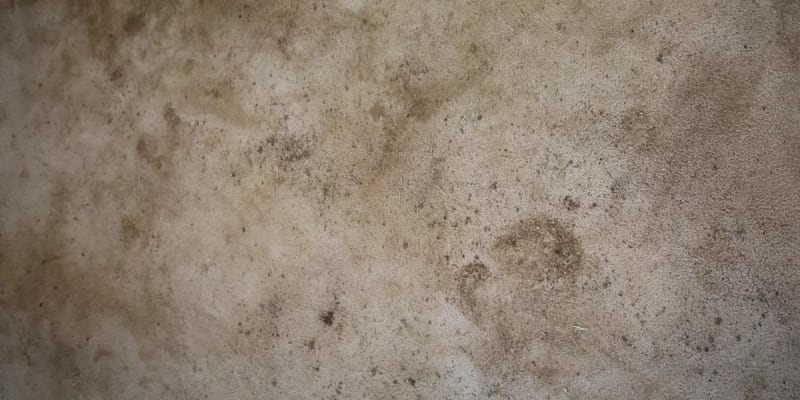 SmartStrand Rhino Dirty Carpet