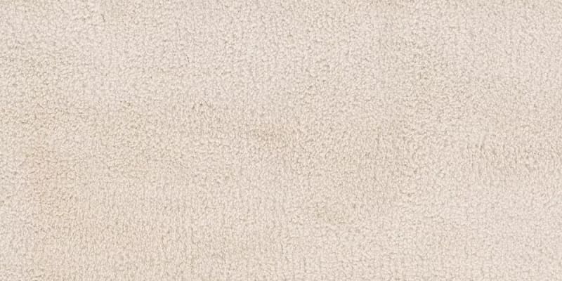SmartStrand Rhino Clean Carpet