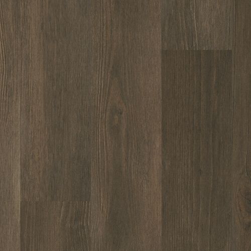 Forest Brown