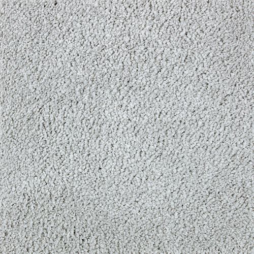 Winter Ash