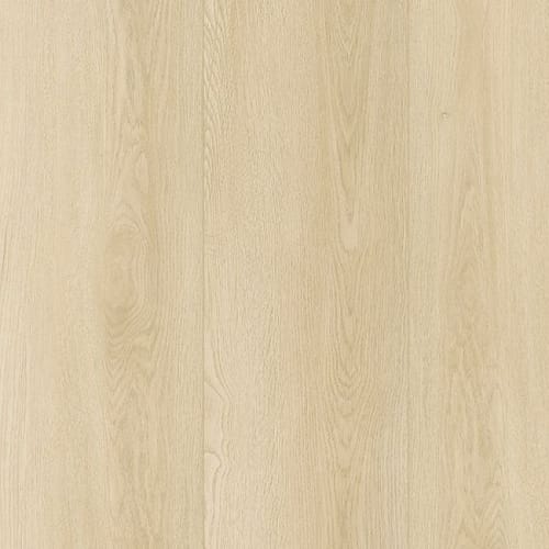 Amber Escape by Solidtech Plus