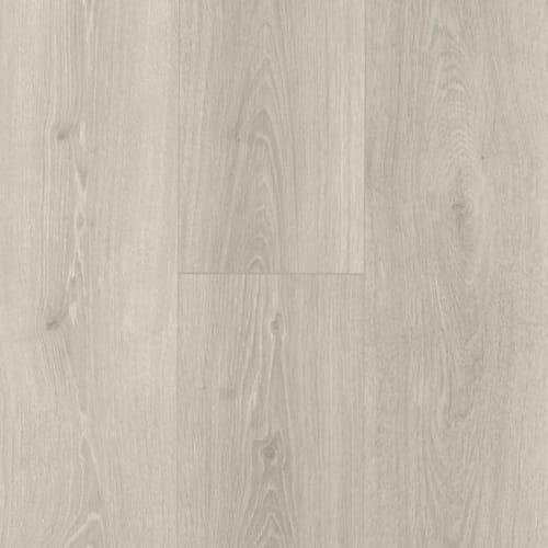 Silver Shadow