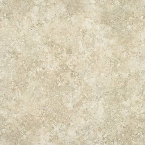 Seashell - Platinum